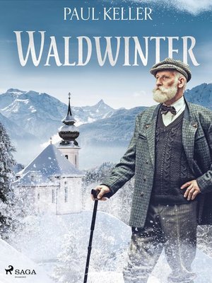 cover image of Waldwinter